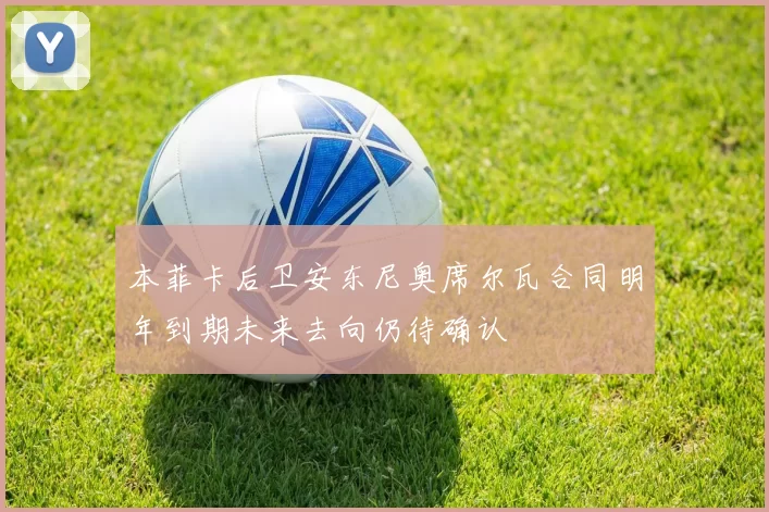 本菲卡后卫安东尼奥席尔瓦合同明年到期未来去向仍待确认