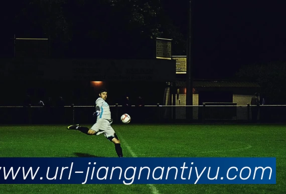 江南体育平台生态图